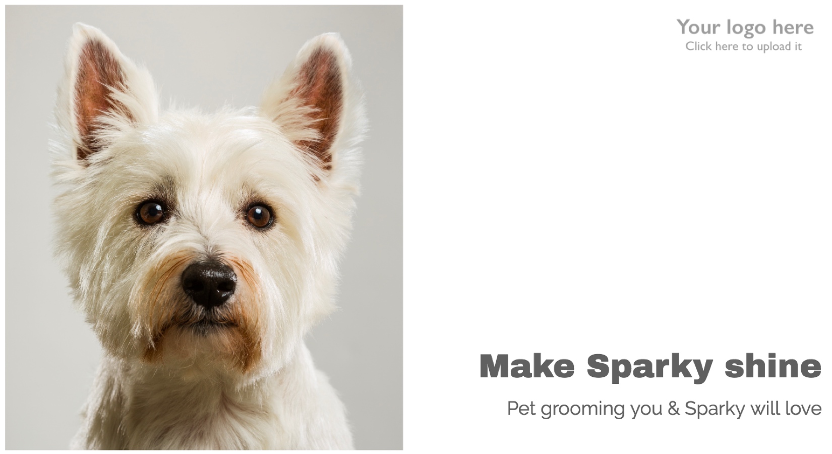 Pet Grooming Postcard Template